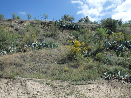 The road to El Canuelo.